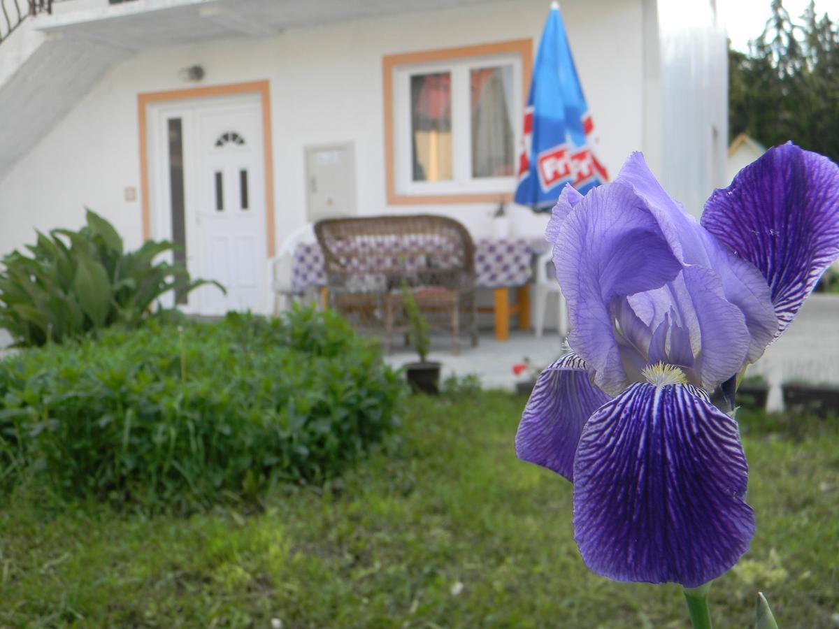 Apartment Mountain Dream Žabljak Exterior foto